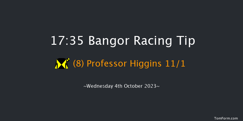 Bangor 17:35 NH Flat Race (Class 4) 17f Tue 5th Sep 2023