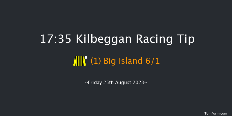 Kilbeggan 17:35 Handicap Hurdle 19f Sat 12th Aug 2023