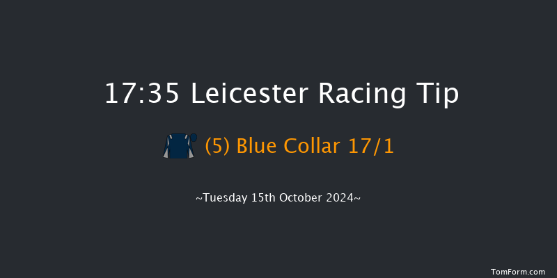 Leicester  17:35 Handicap (Class 5) 8f  Tue 8th Oct 2024