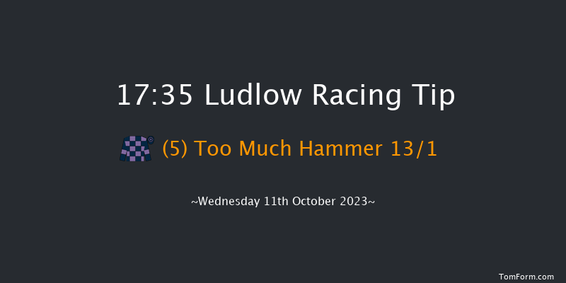 Ludlow 17:35 NH Flat Race (Class 4) 16f Sun 14th May 2023