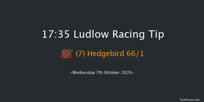 tipstersempire.co.uk Daily Horse Racing Tips Mares' Intermediate Open NH Flat Race (GBB Race) Ludlow 17:35 NH Flat Race (Class 4) 16f Thu 27th Feb 2020