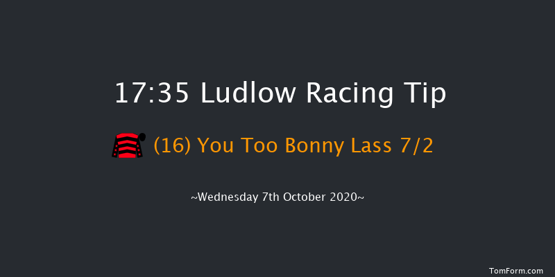 tipstersempire.co.uk Daily Horse Racing Tips Mares' Intermediate Open NH Flat Race (GBB Race) Ludlow 17:35 NH Flat Race (Class 4) 16f Thu 27th Feb 2020