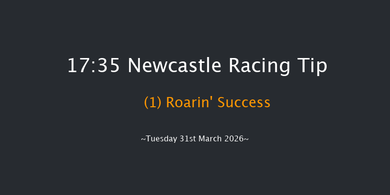 Newcastle 17-35 (Class 5) 16f Fri 27th Mar 2026