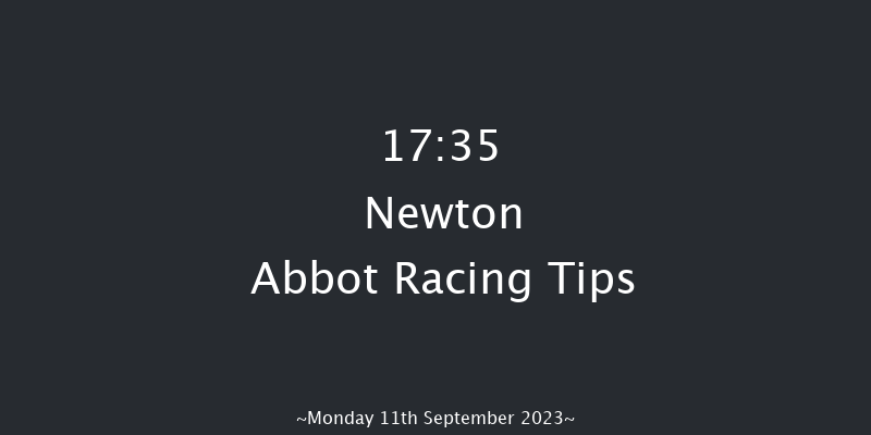Newton Abbot 17:35 NH Flat Race (Class 5) 17f Sat 2nd Sep 2023