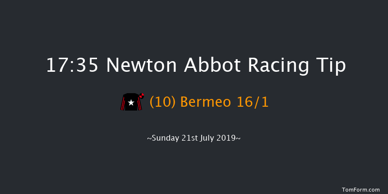 Newton Abbot 17:35 Handicap Hurdle (Class 4) 26f Fri 5th Jul 2019