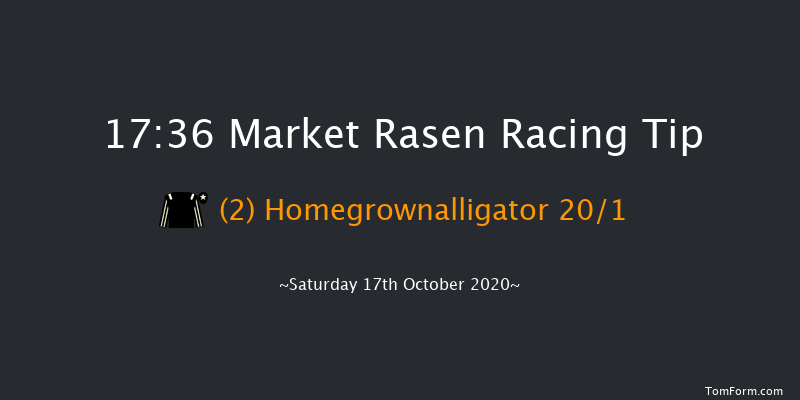 Follow MansionBet On Twitter 'Junior' Standard Open NH Flat Race (GBB Race) Market Rasen 17:36 NH Flat Race (Class 5) 13f Sat 26th Sep 2020