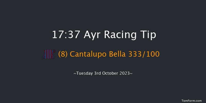 Ayr 17:37 Handicap (Class 6) 15f Sat 23rd Sep 2023