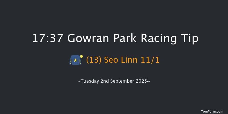 Gowran Park 17-37 15f Wed 13th Aug 2025