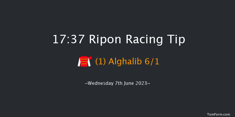 Ripon 17:37 Stakes (Class 5) 5f Thu 1st Jun 2023