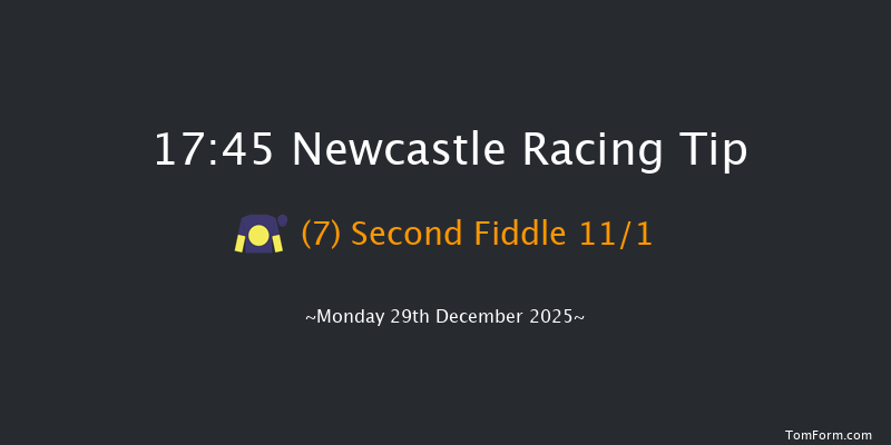 Newcastle 17-45 (Class 5) 8f Sat 20th Dec 2025