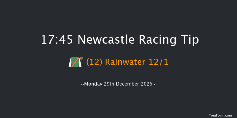 Newcastle 17-45 (Class 5) 8f Sat 20th Dec 2025