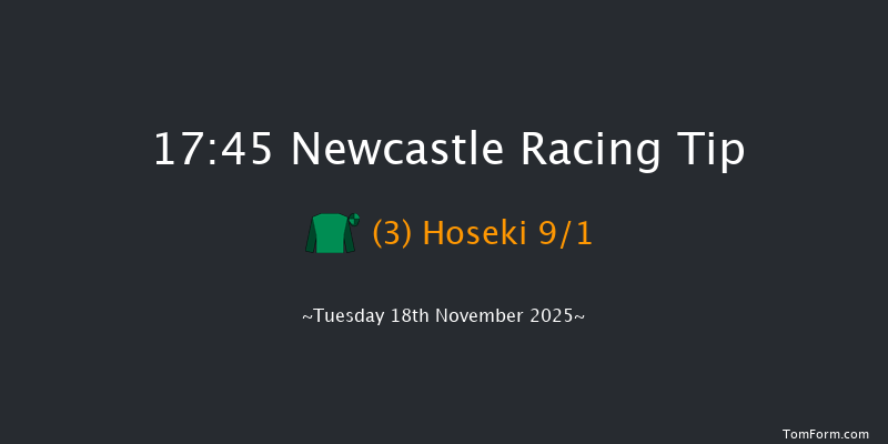 Newcastle 17-45 (Class 5) 8f Mon 17th Nov 2025