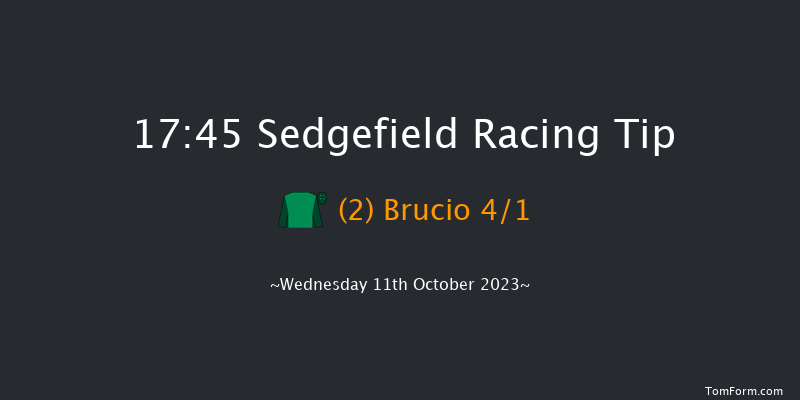 Sedgefield 17:45 NH Flat Race (Class 4) 17f Tue 3rd Oct 2023