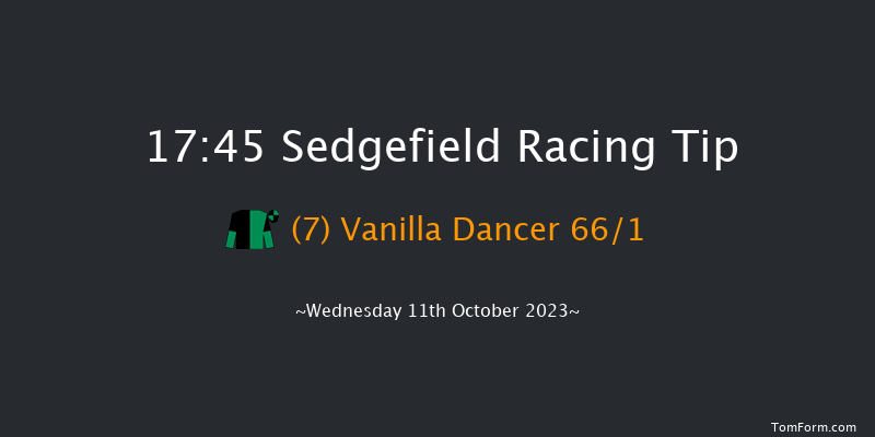 Sedgefield 17:45 NH Flat Race (Class 4) 17f Tue 3rd Oct 2023