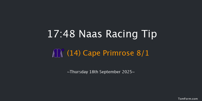 Naas 17-48 7f Sun 24th Aug 2025