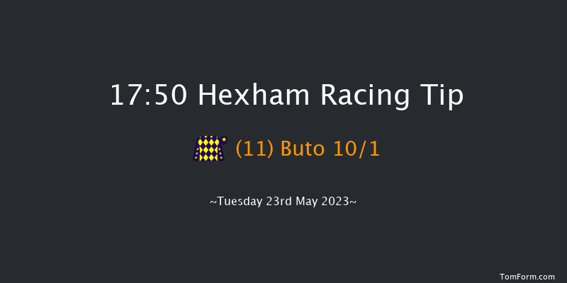 Hexham 17:50 Handicap Hurdle (Class 5) 23f Sat 13th May 2023