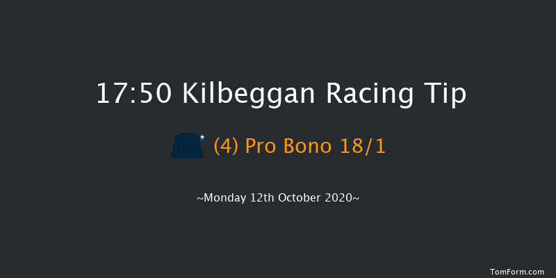 Kilbeggan Flat Race Kilbeggan 17:50 NH Flat Race 16f Fri 11th Sep 2020