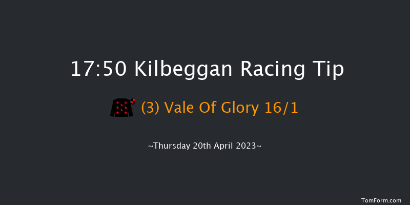 Kilbeggan 17:50 Handicap Hurdle 19f Fri 2nd Sep 2022