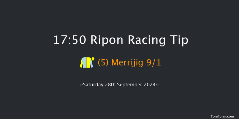 Ripon  17:50 Handicap (Class 4) 16f Tue 27th Aug 2024