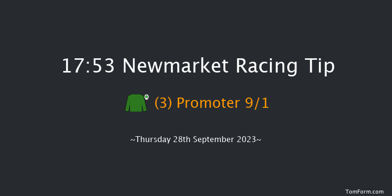 Newmarket 17:53 Handicap (Class 3) 10f Sat 23rd Sep 2023