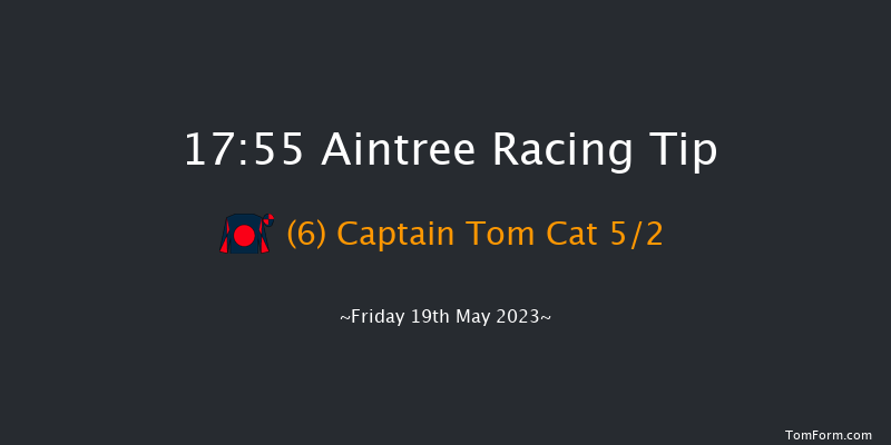 Aintree 17:55 Handicap Chase (Class 3) 20f Sat 15th Apr 2023