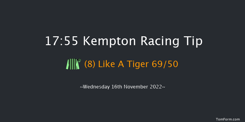 Kempton 17:55 Stakes (Class 4) 8f Wed 9th Nov 2022