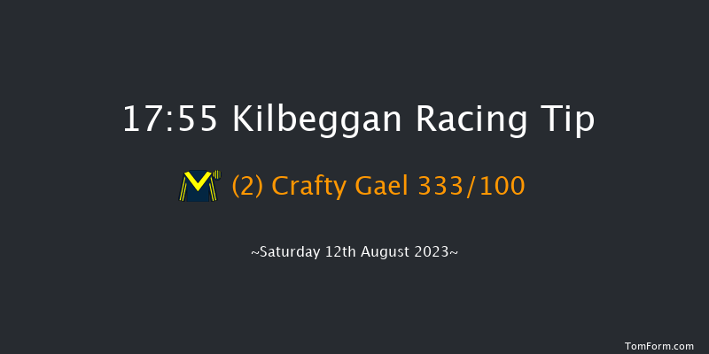 Kilbeggan 17:55 Handicap Hurdle 16f Fri 21st Jul 2023