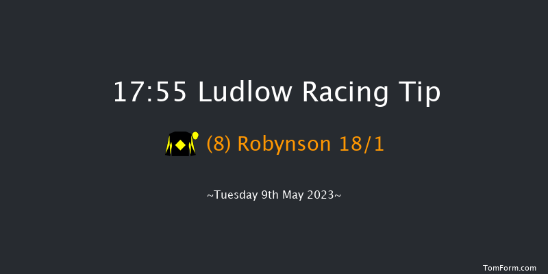 Ludlow 17:55 Handicap Hurdle (Class 5) 24f Wed 26th Apr 2023