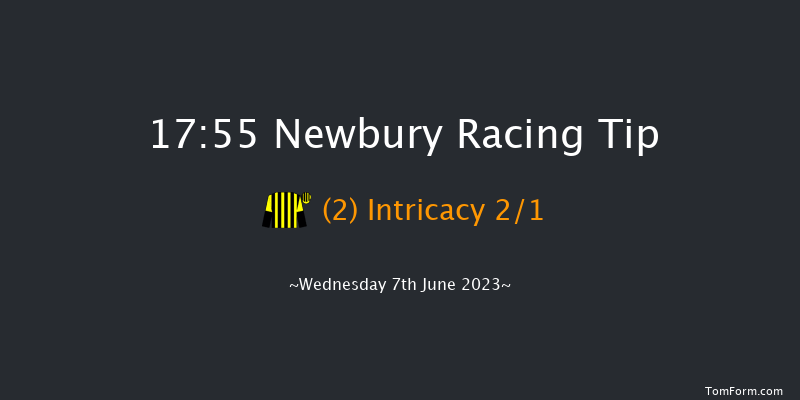 Newbury 17:55 Handicap (Class 4) 10f Sat 20th May 2023
