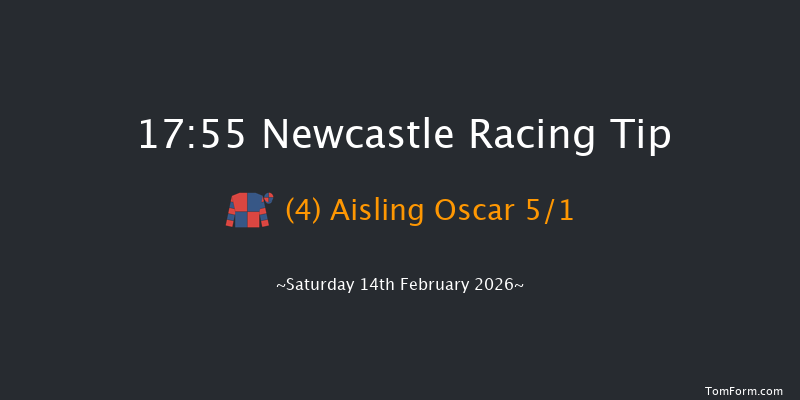 Newcastle 17-55 (Class 4) 8f Tue 10th Feb 2026