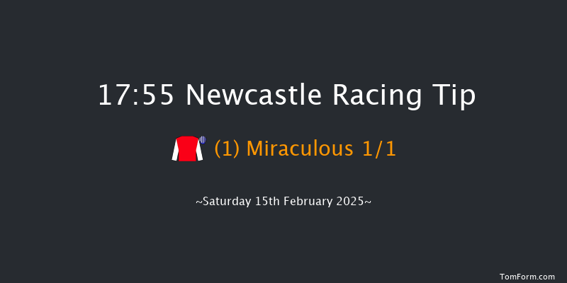 Newcastle  17:55 Stakes (Class 4) 7f Fri 14th Feb 2025