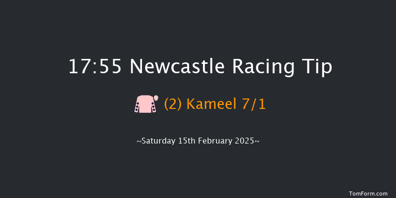 Newcastle  17:55 Stakes (Class 4) 7f Fri 14th Feb 2025