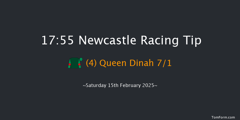 Newcastle  17:55 Stakes (Class 4) 7f Fri 14th Feb 2025