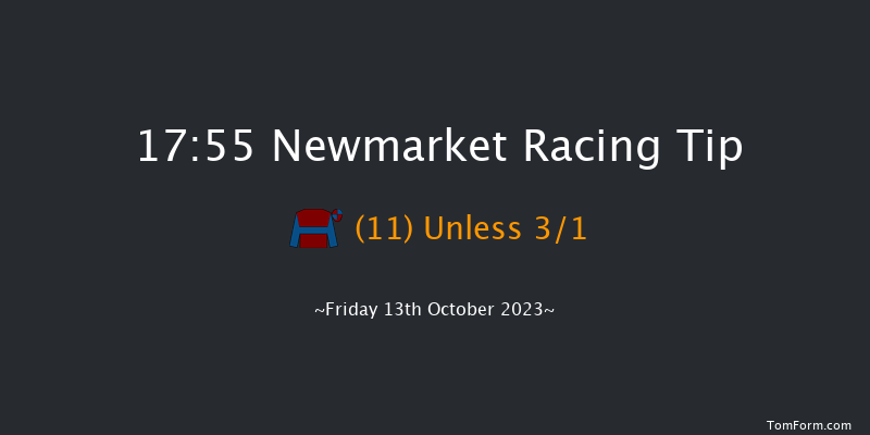 Newmarket 17:55 Group 3 (Class 1) 10f Sat 7th Oct 2023