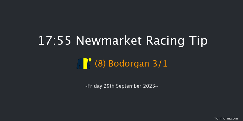Newmarket 17:55 Handicap (Class 3) 9f Thu 28th Sep 2023
