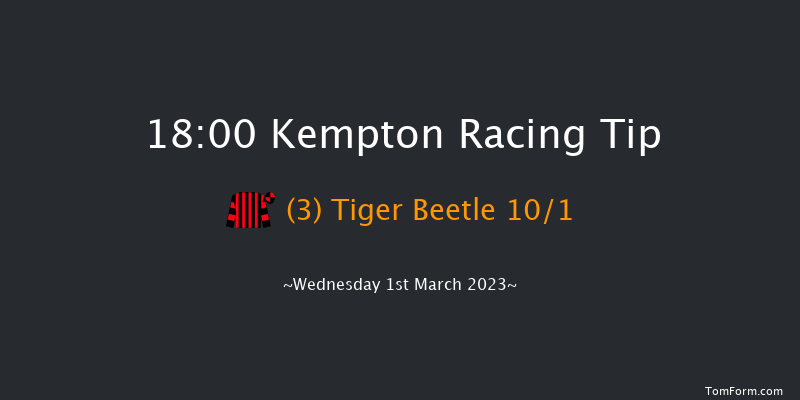 Kempton 18:00 Handicap (Class 5) 8f Sat 25th Feb 2023