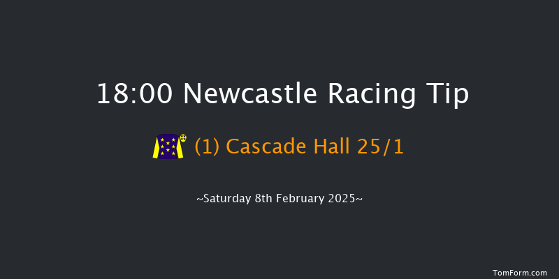 Newcastle  18:00 Maiden (Class 4) 8f Tue 4th Feb 2025