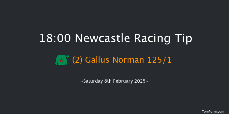Newcastle  18:00 Maiden (Class 4) 8f Tue 4th Feb 2025