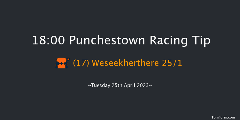 Punchestown 18:00 NH Flat Race 16f Wed 22nd Feb 2023