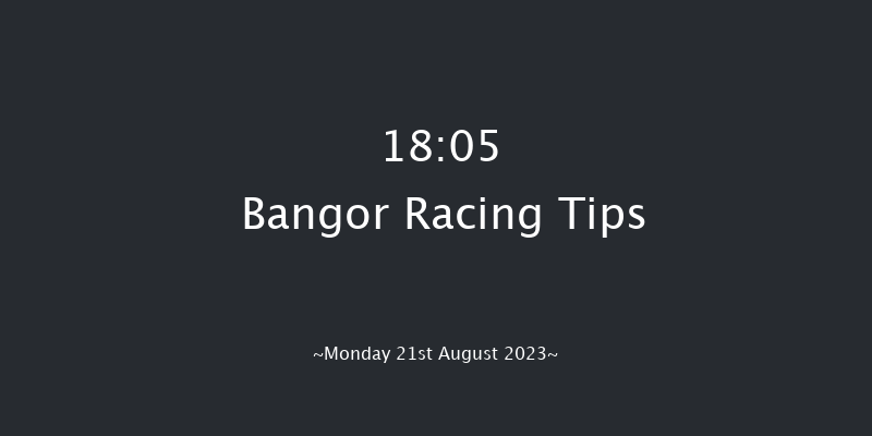 Bangor 18:05 Handicap Chase (Class 3) 24f Fri 4th Aug 2023