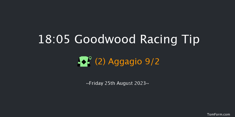 Goodwood 18:05 Handicap (Class 3) 16f Sat 5th Aug 2023