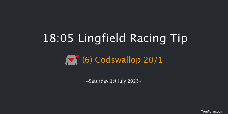 Lingfield 18:05 Handicap (Class 6) 10f Sat 24th Jun 2023
