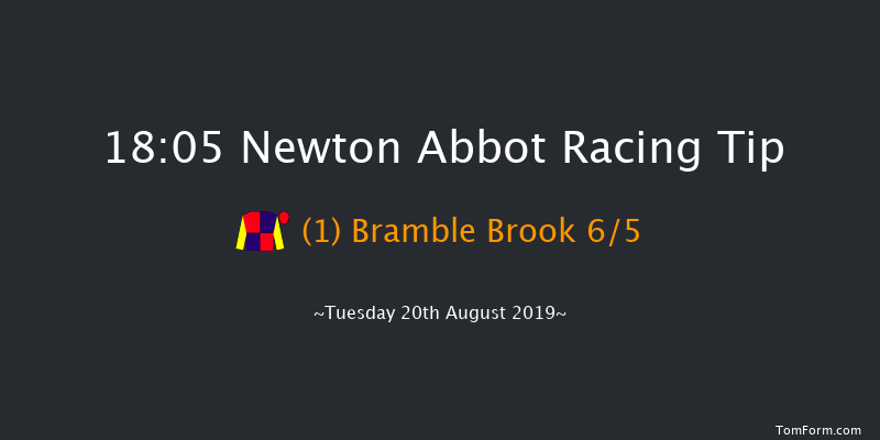 Newton Abbot 18:05 Handicap Chase (Class 4) 21f Wed 14th Aug 2019