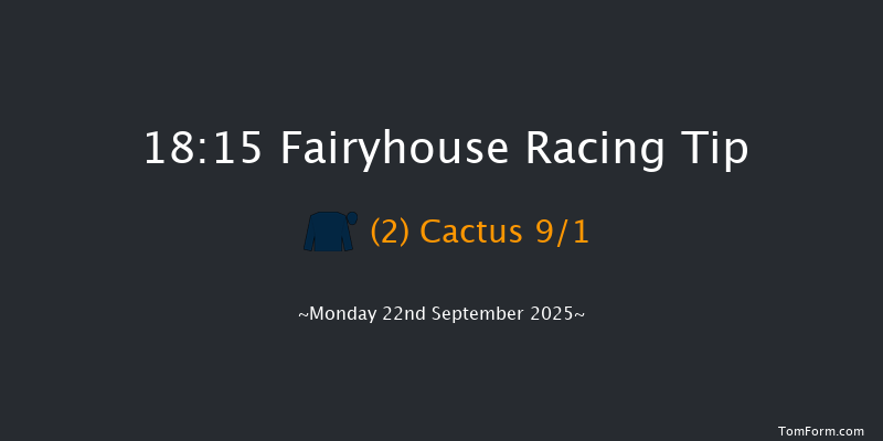 Fairyhouse 18-15 6f Wed 9th Jul 2025