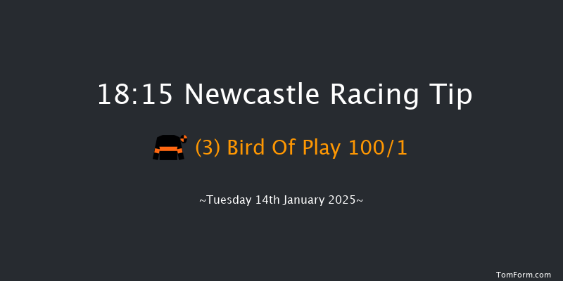 Newcastle  18:15 Handicap (Class 5) 8f Sat 11th Jan 2025