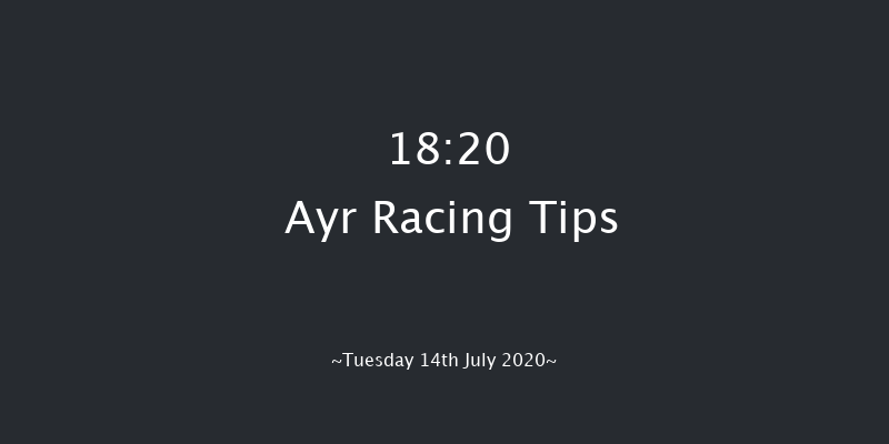 Microtech Odds On For IT Support Novice Stakes Ayr 18:20 Stakes (Class 5) 5f Mon 13th Jul 2020