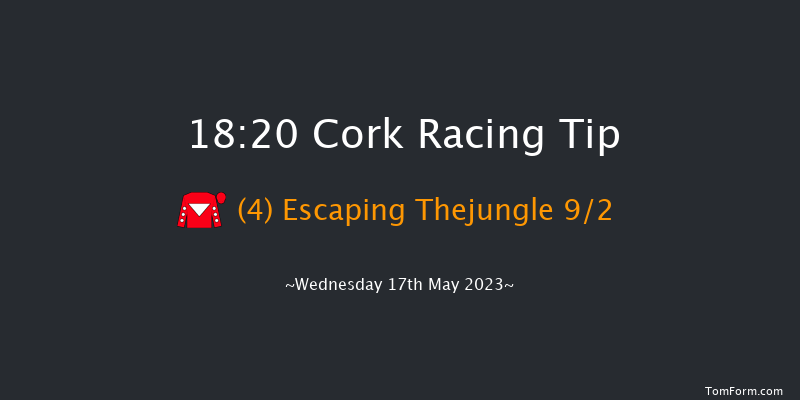 Cork 18:20 Handicap 5f Sat 6th May 2023