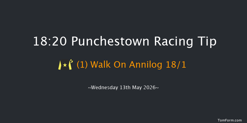 Punchestown 18-20 16f Sat 2nd May 2026