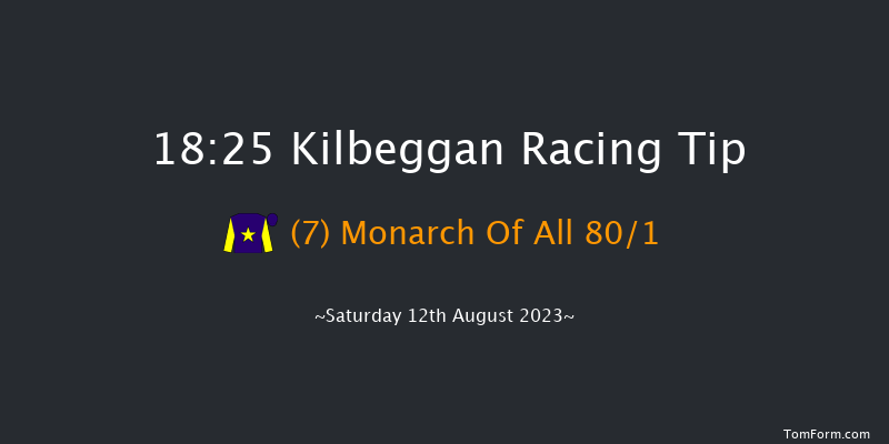 Kilbeggan 18:25 Maiden Hurdle 19f Fri 21st Jul 2023