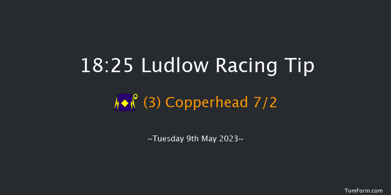 Ludlow 18:25 Handicap Chase (Class 4) 26f Wed 26th Apr 2023